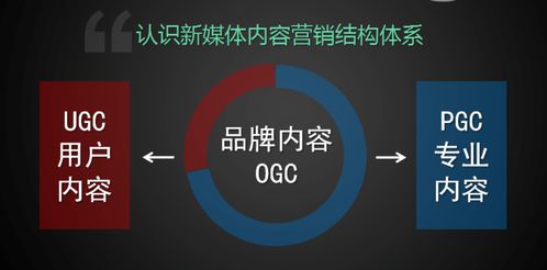 學習新媒體運營，把握互聯(lián)網(wǎng)銷售新機遇